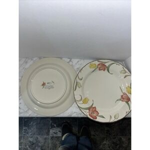 Set of 2  12" Mikasa Country Classics DC024  Large Plate Summer Medley‎